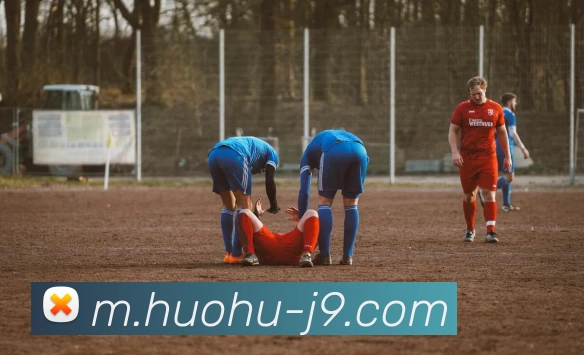 九游体育平台生态图